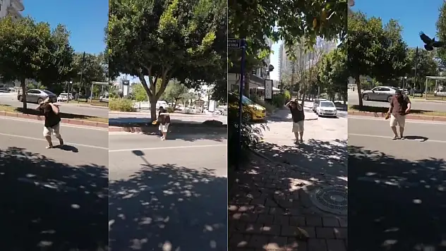 Yolda yürürken kargaların saldırısına uğradı neye uğradığını anlamadı