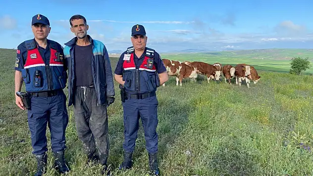 Yozgat'ta hayvanları kaybolan vatandaşın imdadına Jandarma yetişti