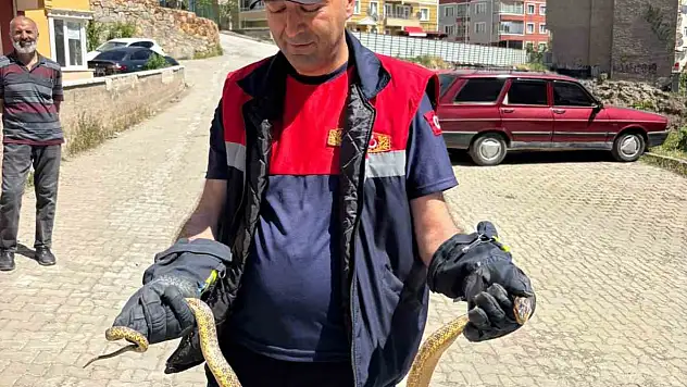 Yozgat'ta otomobile giren yılanı itfaiye ekipleri çıkardı