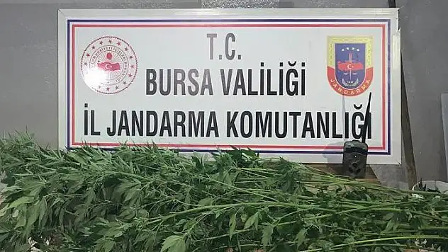 ZEHİR TACİRLERİNİ FOTOKAPANLA YAKALADILAR