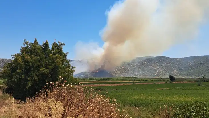 Aydın’da zirai alanda yangın! Ekiplerin müdahalesi sürüyor