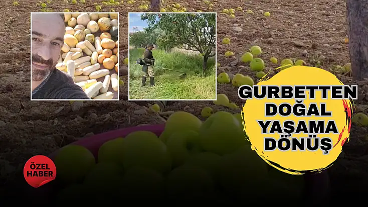 Memleketine dönen gurbetçi, doğal yaşam kültürünü yaşatıyor