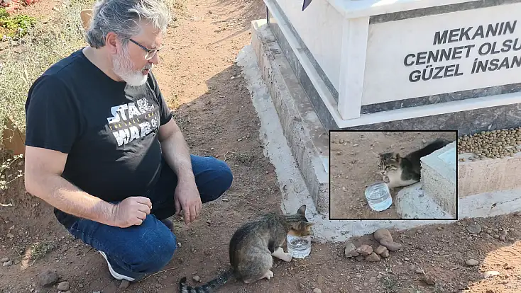 Nankör değil, vefalı! Hayatını kaybeden sahibinin mezarı başından ayrılmıyor