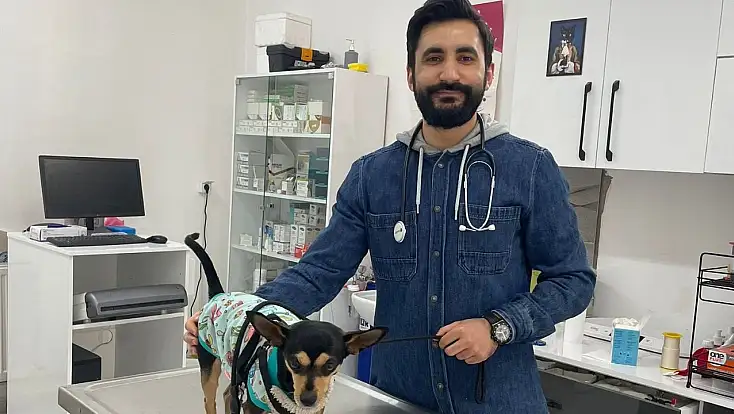 Veteriner Teknekaya’dan yaz uyarısı: Taşıma çantası seçimi hayati önem taşıyor