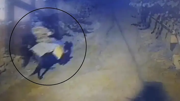 Kayseri'de yaşlı çifti öldürdükten sonra atla kaçan sanığa iki kere ağırlaştırılmış müebbet
