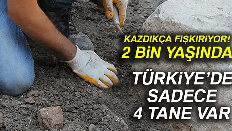 2 bin yıllık geçmişe sahip ve Türkiye'de sadece dört tane bulunuyor