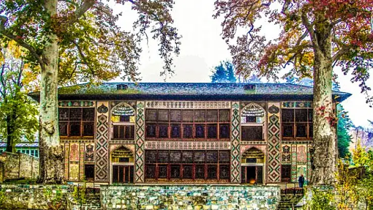 500 Yaşındaki Ağacın Dallarının Kırılması Sonucu 19 Kişi Yaralandı!