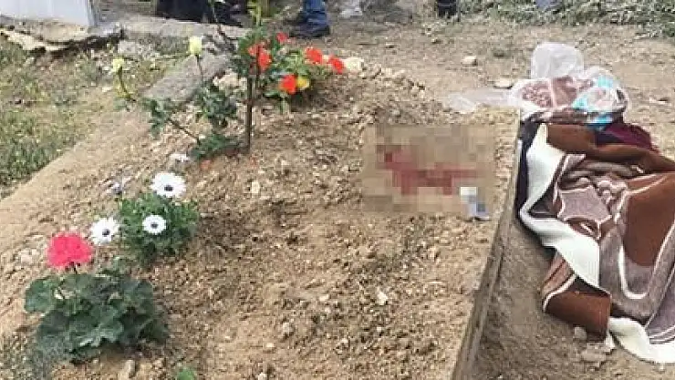 ANNESİNİN ACISINA DAYANAMAYAN GENÇ, MEZARI BAŞINDA İNTİHAR ETTİ