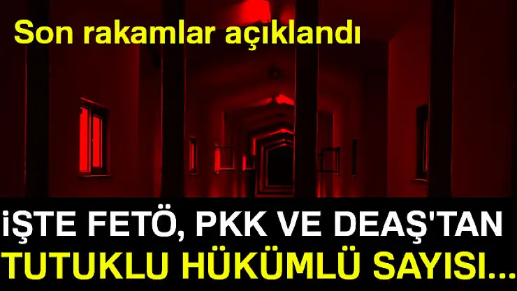 Adalet Bakanı Gül açıkladı: İşte FETÖ, PKK VE DEAŞ'tan tutuklu hükümlü sayısı...