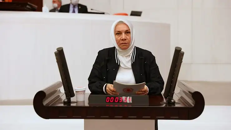 AK Partili Vekil Hülya Nergis: 'Farkındalığı Artıracağız'