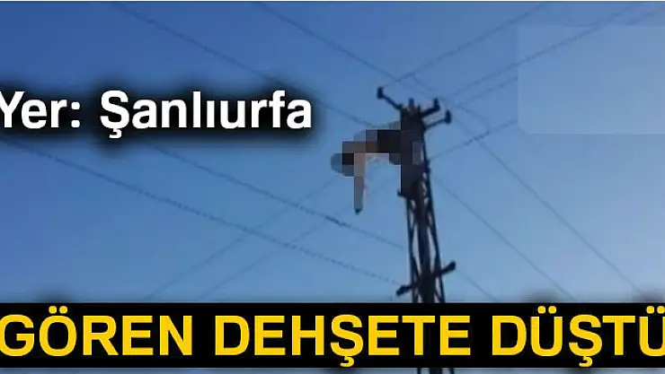 Akıma kapılan işçinin cesedi direkte asılı kaldı