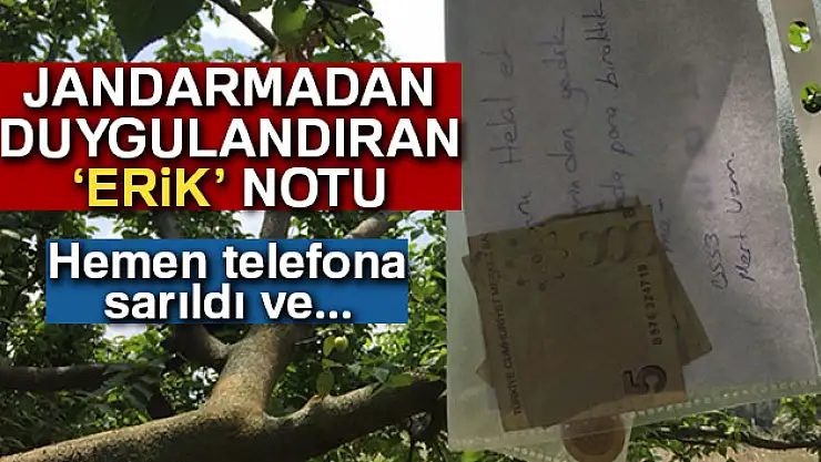 Bahçeden erik yiyen jandarma para ve not bıraktı
