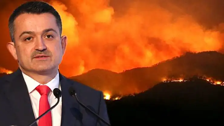 Bakan Pakdemirli'den Dalaman'daki yangın açıklaması