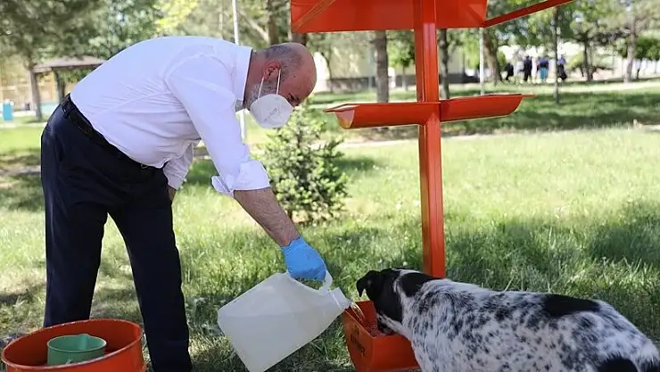 BAŞKAN ÇOLAKBAYRAKDAR'DAN KÜÇÜK DOSTLARA BÜYÜK HASSASİYET