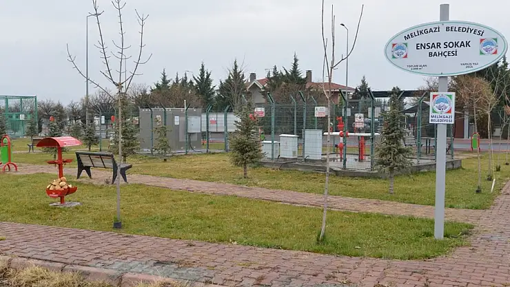 Başkan Dr. Memduh Büyükkılıç, 'Sokak Hayvanlarına Gıda Desteği Tek Merkezden'