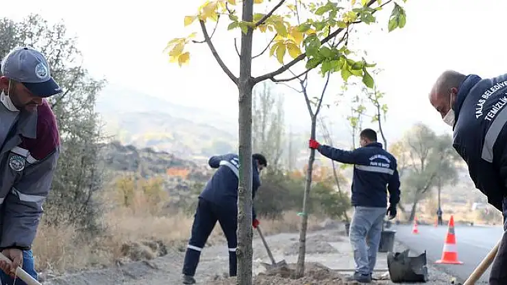 BAŞKAN YALÇIN: 'BUGÜNE KADAR 70 BİN AĞAÇ DİKTİK'