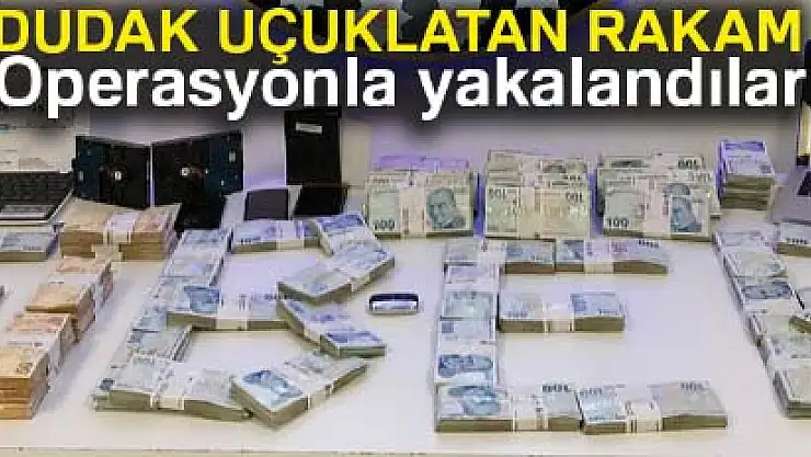 Bitcoin dolandırıcısının evinden çıkan paraların sergisi yapıldı