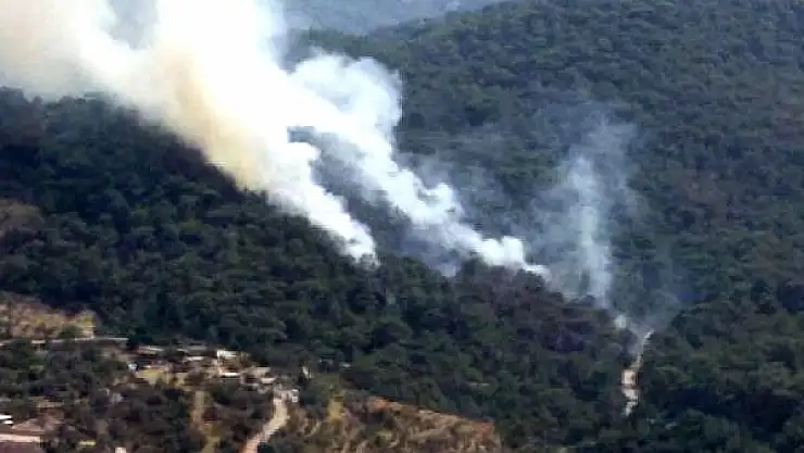 Bodrum'da Orman Yangını