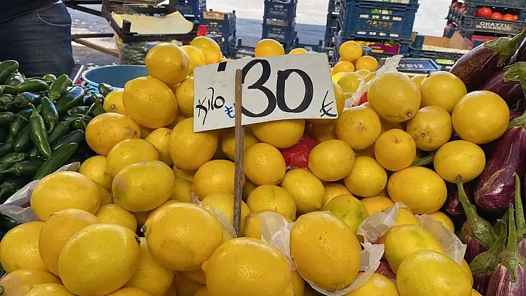 BU HAFTA PAZARIN REKORTMENİ SALATALIK OLDU