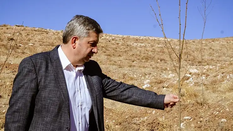 BÜNYAN BELEDİYESİ BAL ORMANINA 14 BİN 300 ADET FİDAN DİKİLDİ