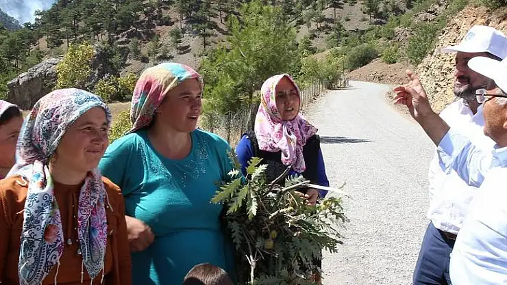 BÜYÜKKILIÇ, YAHYALI'DA YANGIN BÖLGESİNDE İNCELEMELERDE BULUNDU