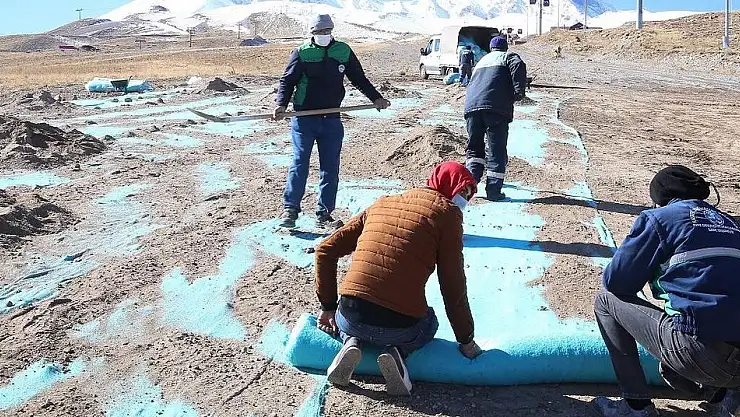 BÜYÜKŞEHİR, ERCİYES'E BİYOTEKSTİL TOHUM HALISI SERDİ