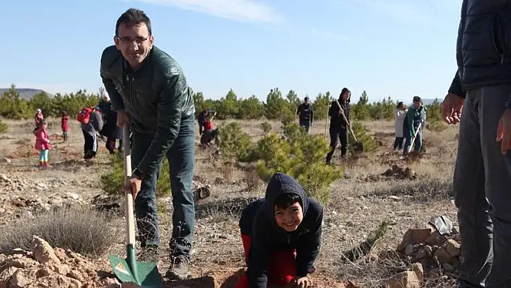 BÜYÜŞEHİR BELEDİYESİ ULAŞIM A.Ş.'DEN HATAY'A FİDAN GÖNDERİLECEK