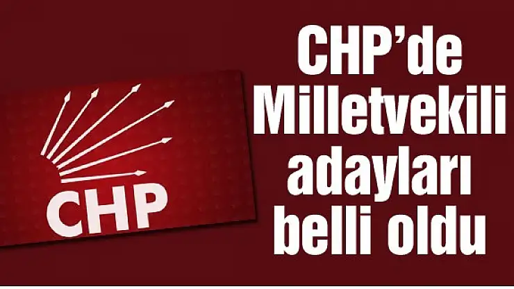 CHP'nin milletvekili adayları belli oldu