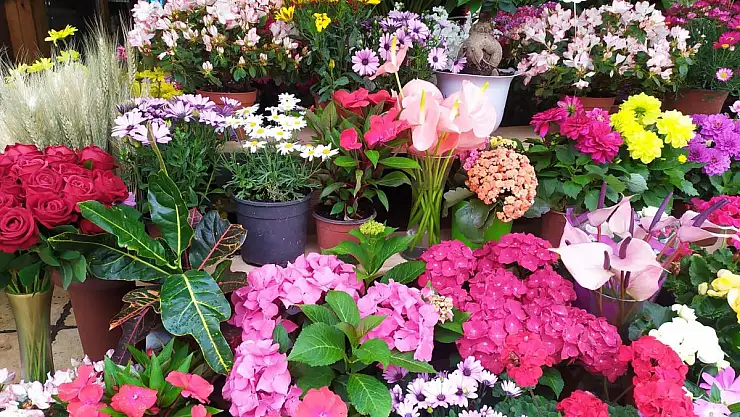 ÇİÇEKÇİ EKREM SARI: 'ANNELER GÜNÜNDE VATANDAŞLARA ÇİÇEK SERVİSİ YAPACAĞIZ'