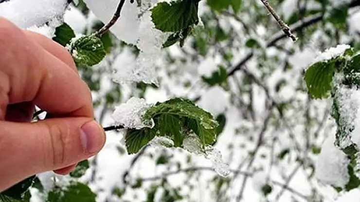 Çiftçilere zirai don uyarısı
