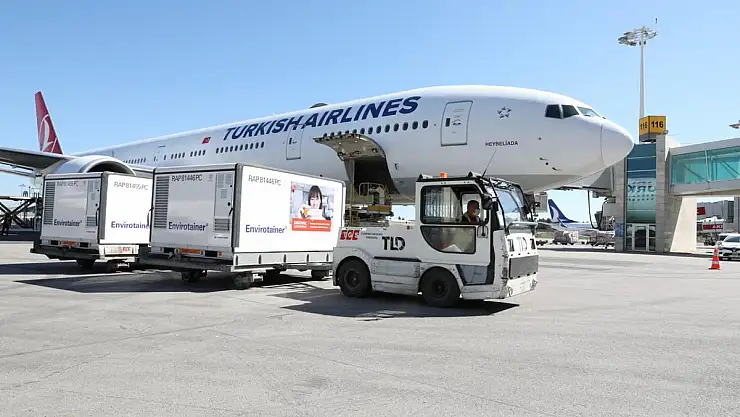 CORONAVAC AŞISININ YENİ PARTİSİ TÜRKİYE'YE ULAŞTI