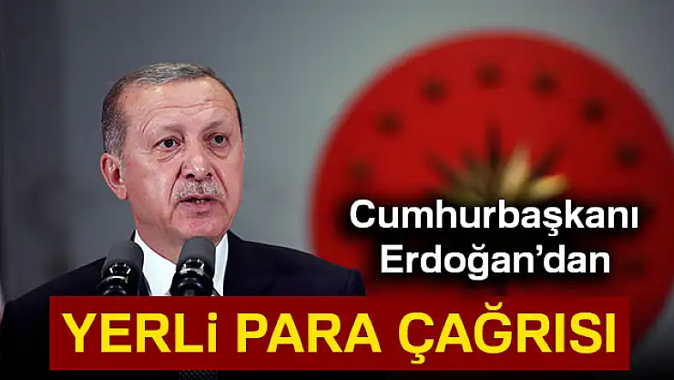 Cumhurbaşkanı Erdoğan'dan yerli para çağrısı