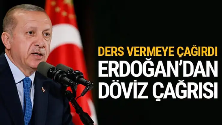 Cumhurbaşkanı'ndan vatandaşlara döviz çağrısı