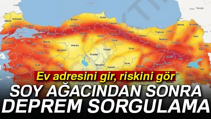 Deprem riski sorgulama açıldı! Yoğunluktan kilitlendi
