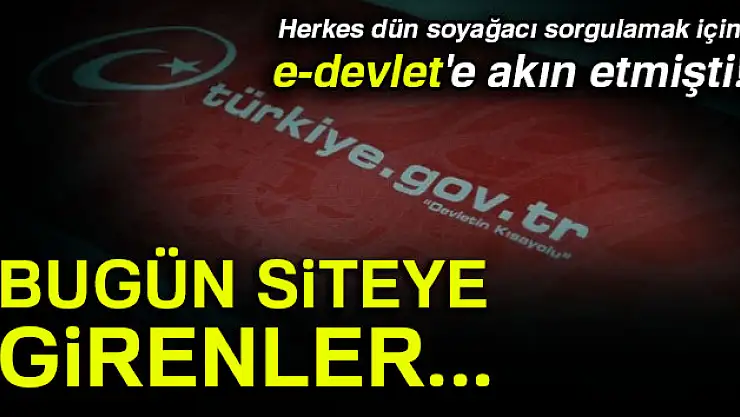 Dün herkes bunu arıyordu: e-Devlet soyağacı sorgulama hizmetini askıya aldı