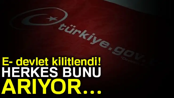 E- devlet kilitlendi! Herkes bunu arıyor…