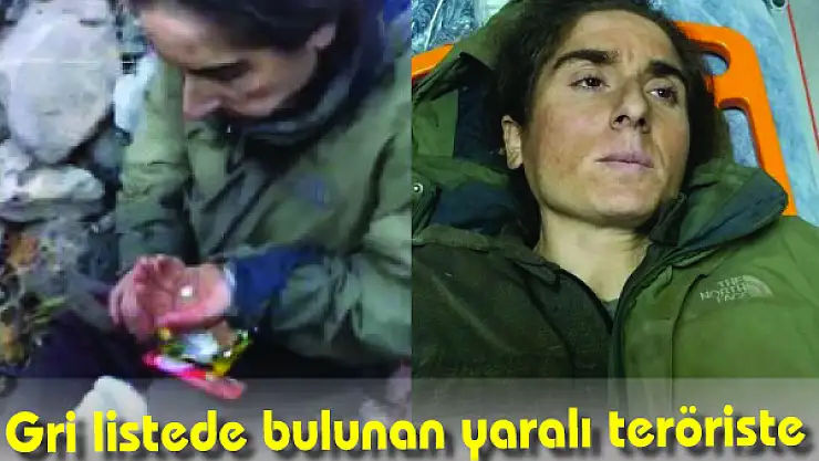 Gri listede bulunan yaralı teröriste ilk müdahale Mehmetçik'ten