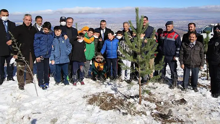 HACILAR ERCİYES KAPIDA FİDANLAR TOPRAKLA BULUŞTU