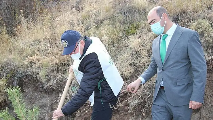 HACILAR ORTASEKİ MEVKİNDE 1100 FİDAN TOPRAKLA BULUŞTU