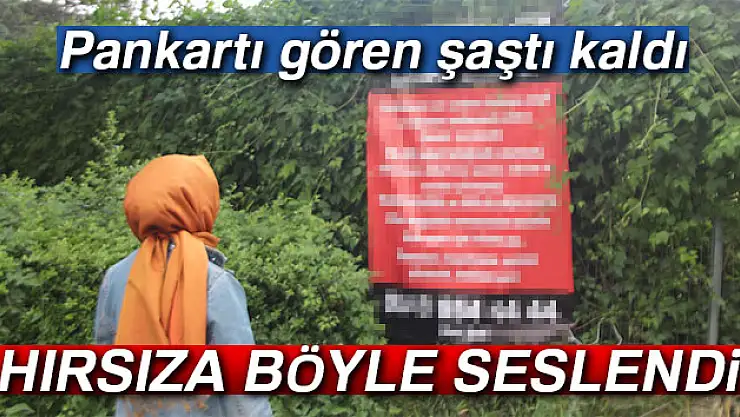 Hırsıza böyle seslendi!