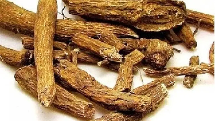 İMMÜN PLAZMAYI KORUYAN TEK ÜRÜN 'UDİ HİNDİ'