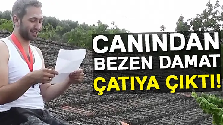 İşkencelere Dayanamayan Damat, İsyan Edip Çatıya Çıktı