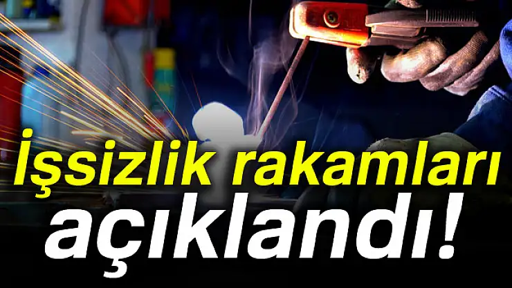 İşsizlik rakamları açıklandı!