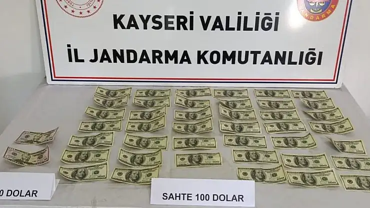 JANDARMA, SAHTE DOLARLARIN PİYASAYA SÜRÜLMESİNİ ENGELLEDİ