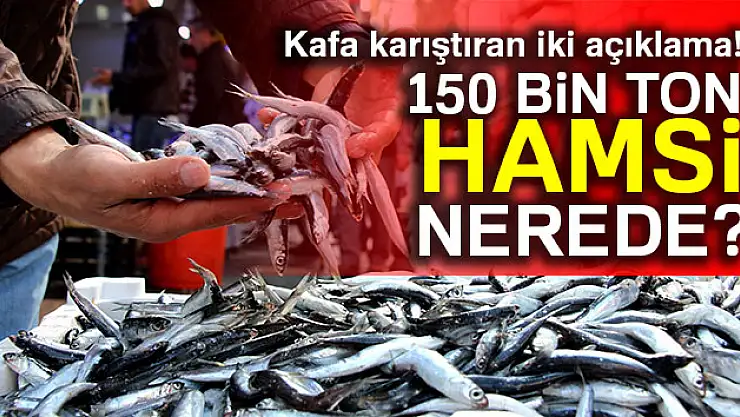 Kafa karıştıran iki açıklama! 150 bin ton hamsi nerede?