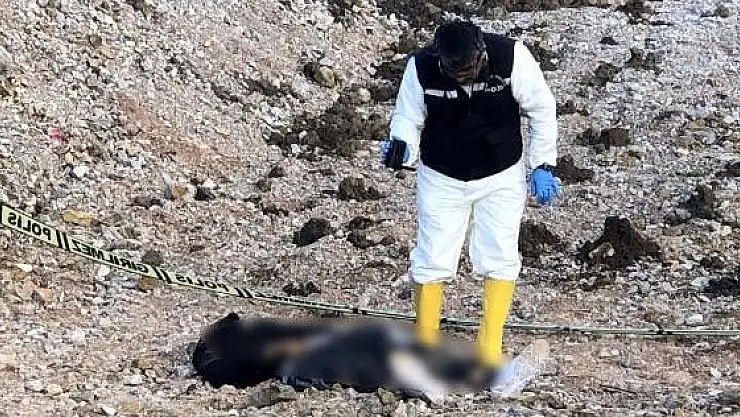 KALBİNDEN BIÇAKLANAN FURKAN'IN KATİLİ ESKİ SEVGİLİSİNİN KOCASI ÇIKTI