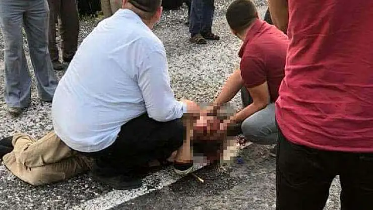 Kaplumbağayı kurtarmak isterken..