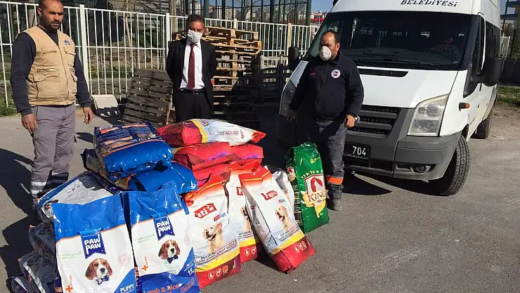 KAYSERİ BÜYÜKŞEHİR BELEDİYESİ, SOKAK HAYVANLARINI UNUTMADI