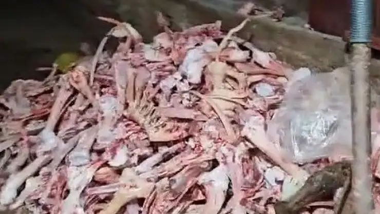 Kayseri'de 1,5 ton kaçak et ele geçirildi