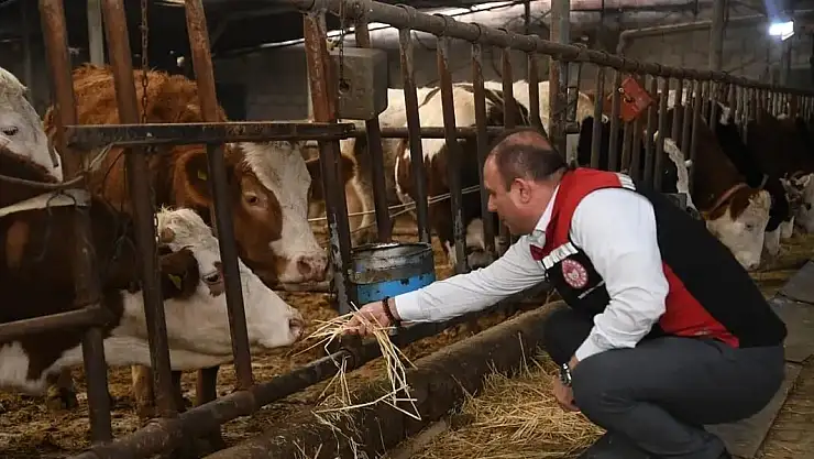 KAYSERİ HASTALIKTAN ARİ İŞLETME SAYISI İLE TÜRKİYE'DE 1'İNCİ